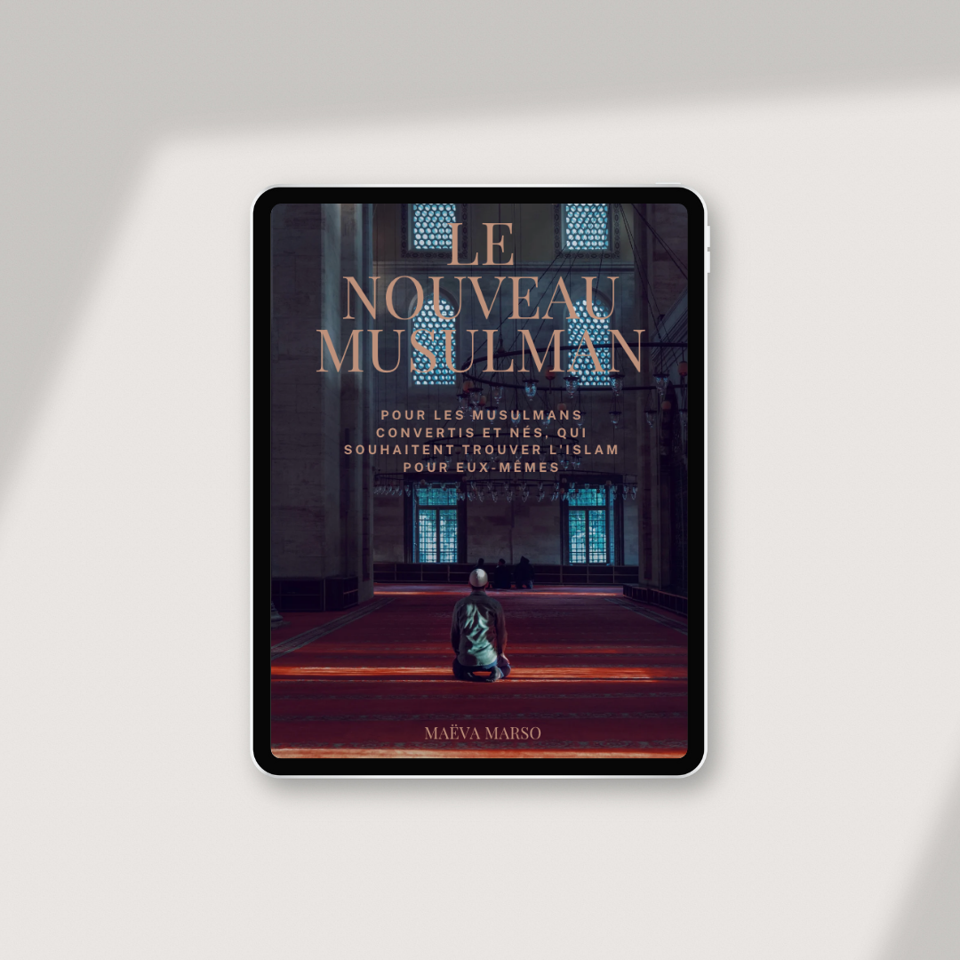 Der neue Muslim E-Book