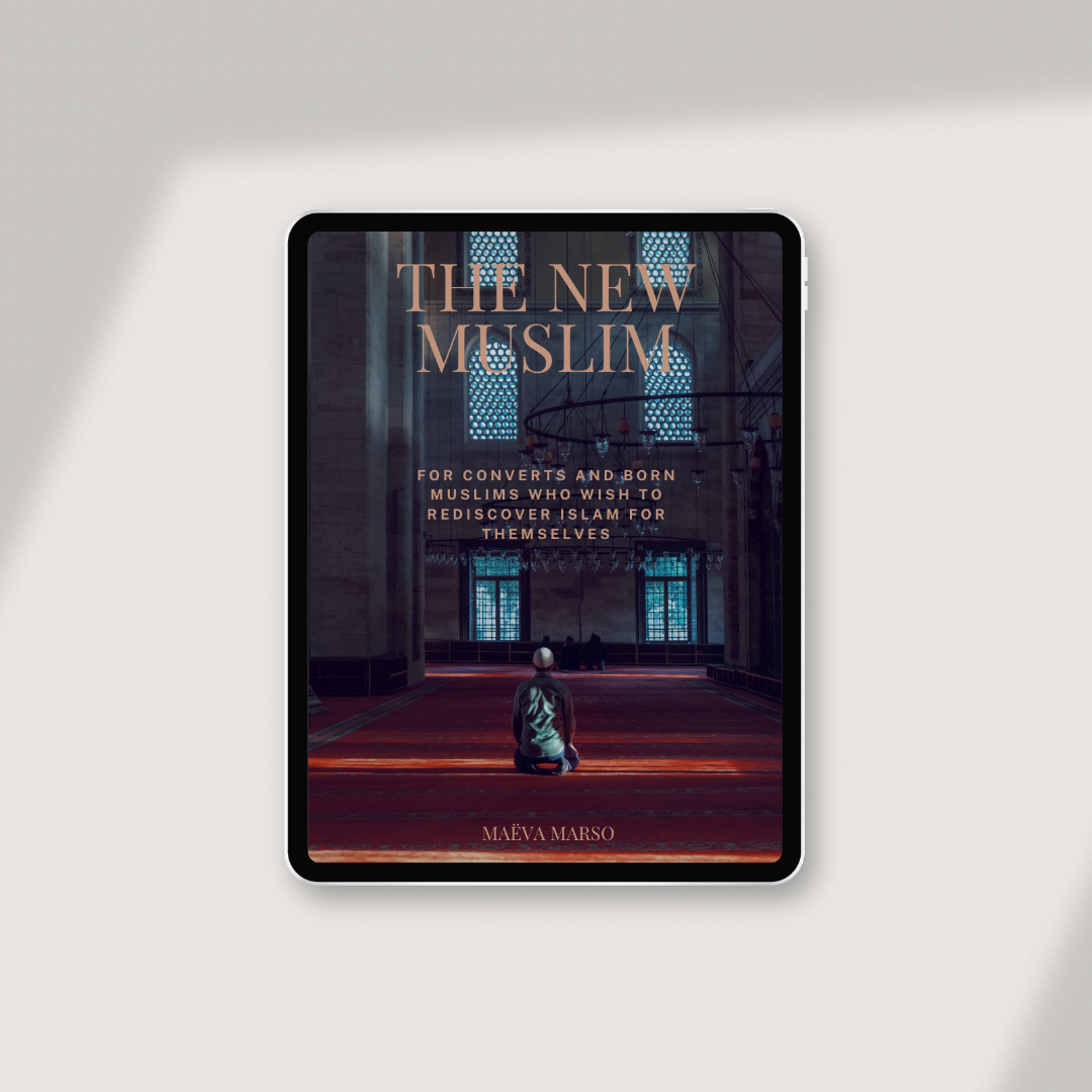Der neue Muslim E-Book