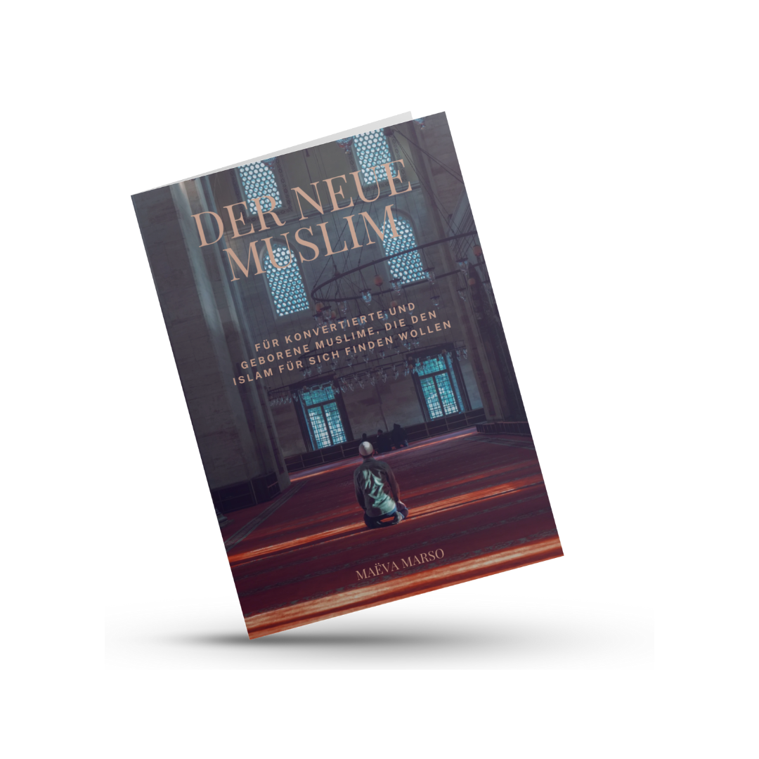 Bundle for Converts