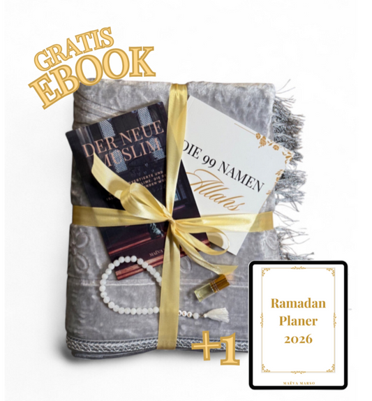 Wissensbundle + Gratis E-Book (DE)